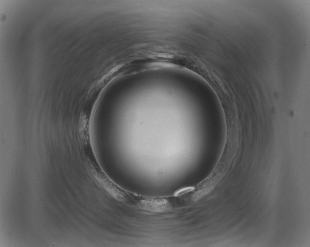 X0000081450480200701121236