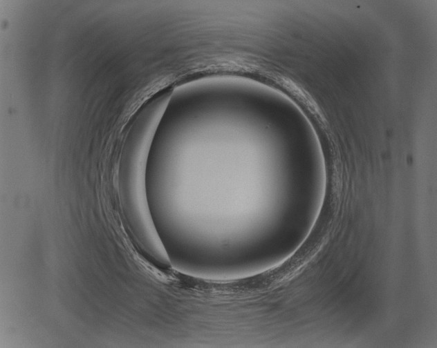 X0000081450481200701121235