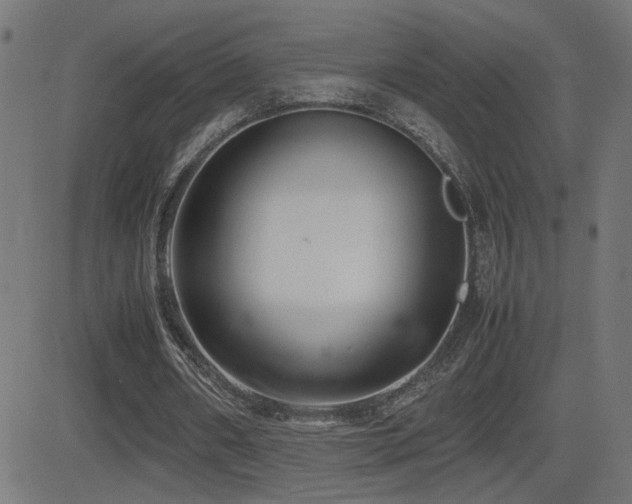 X0000081450482200701121235