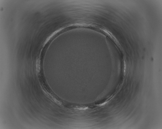 X0000081450484200701121235