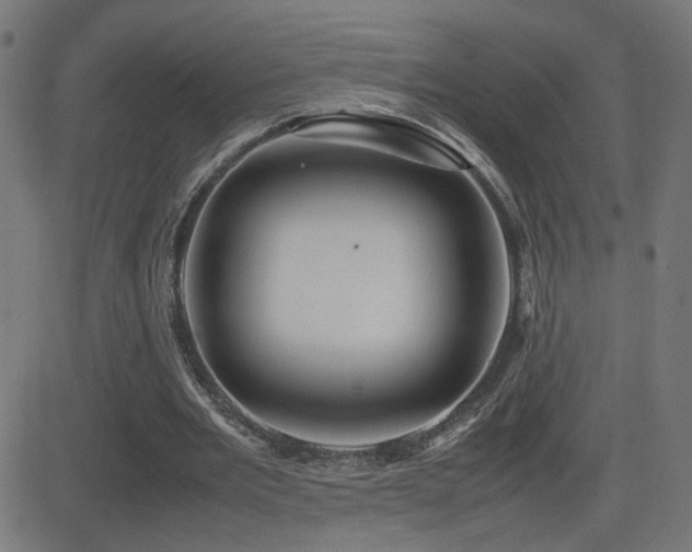 X0000081450485200701121235