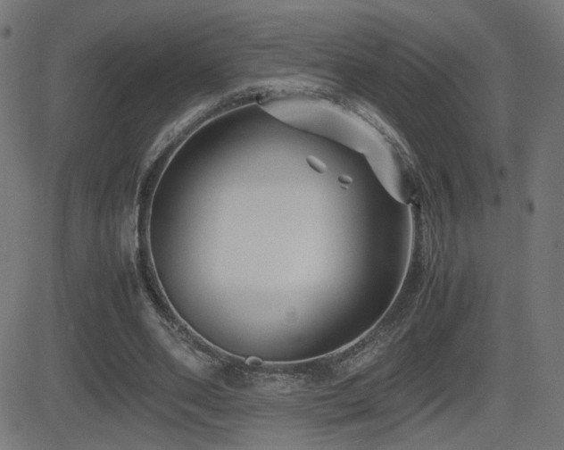 X0000081450486200701121235