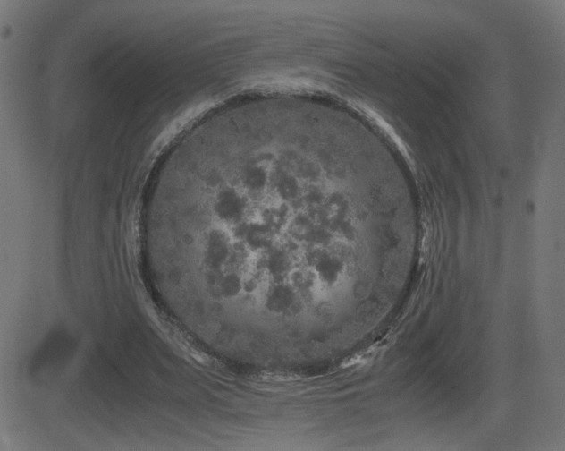 X0000081450487200701121235