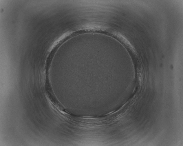 X0000081450488200701121235