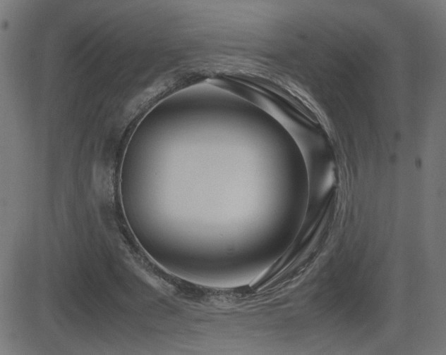 X0000081450489200701121235