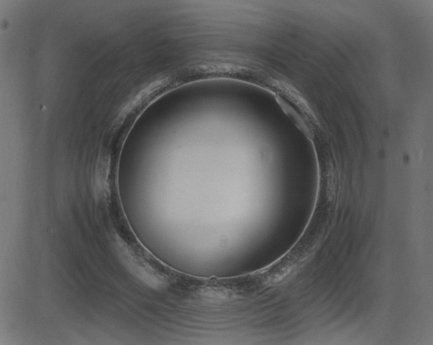 X0000081450490200701121235