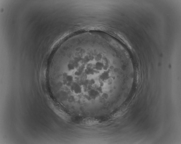 X0000081450491200701121235