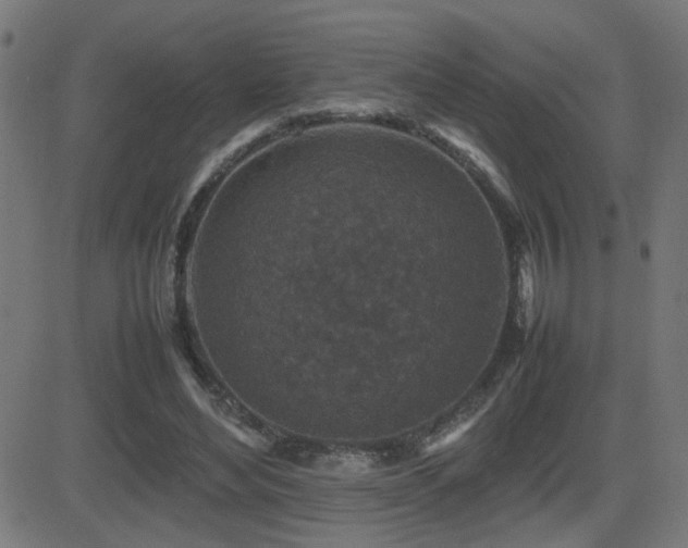 X0000081450492200701121235