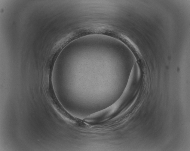 X0000081450493200701121235