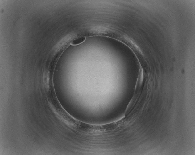 X0000081450494200701121235