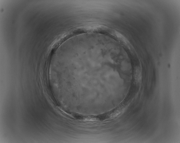 X0000081450495200701121235