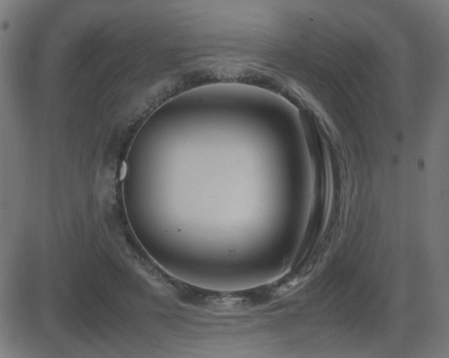 X0000081450497200701121235