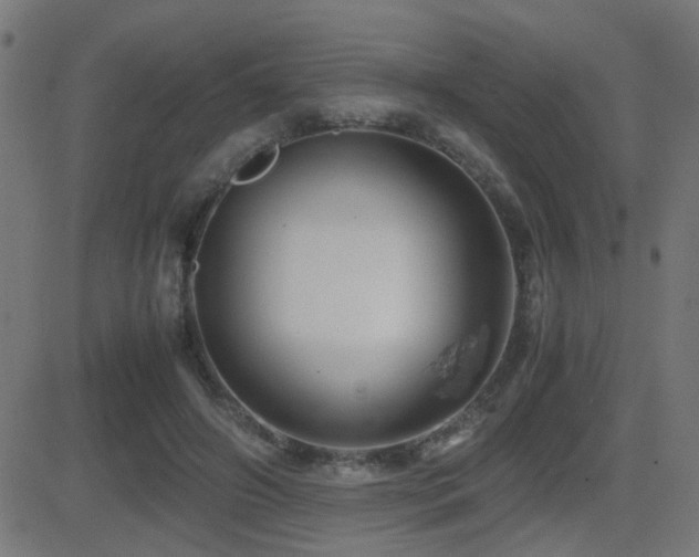 X0000081450498200701121235