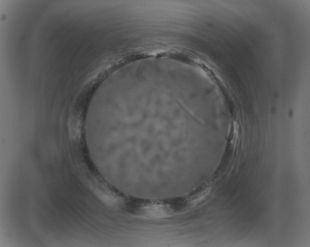 X0000081450499200701121235