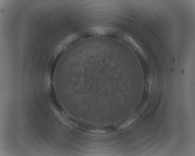 X0000081450500200701121235