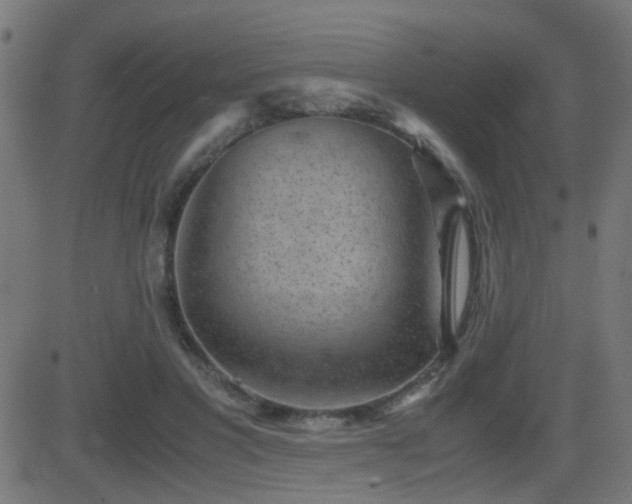 X0000081450501200701121235