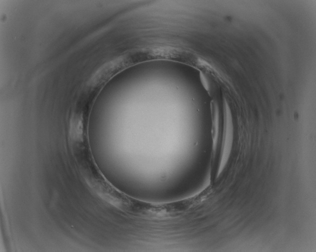 X0000081450502200701121235