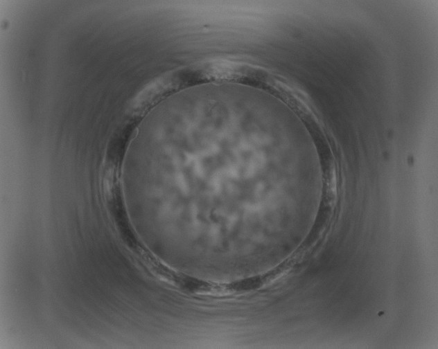 X0000081450503200701121235