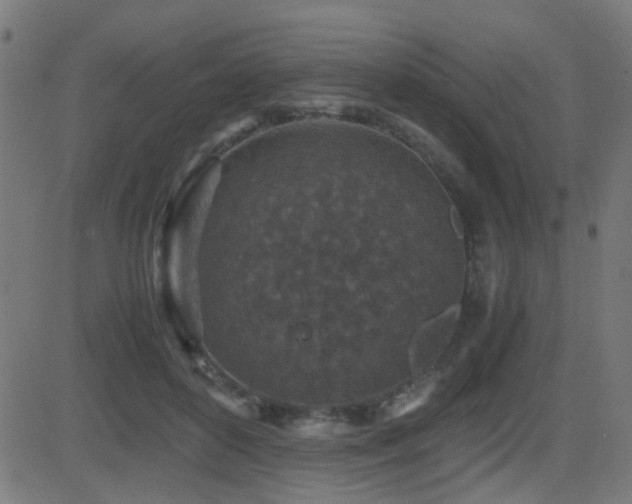 X0000081450504200701121235