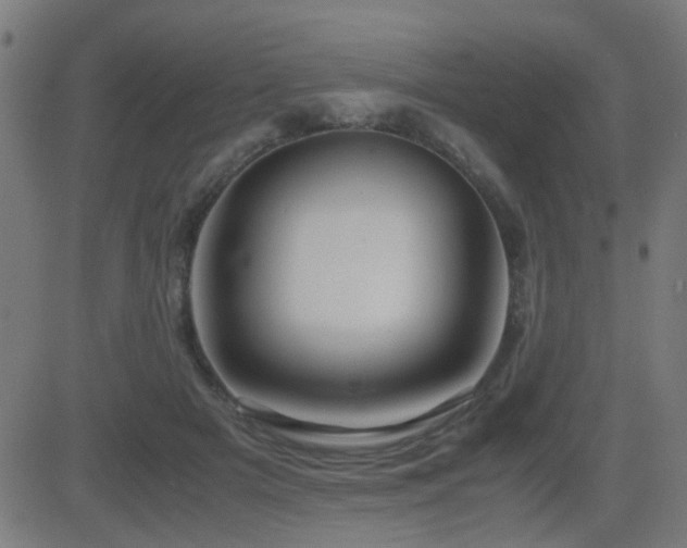 X0000081450505200701121235