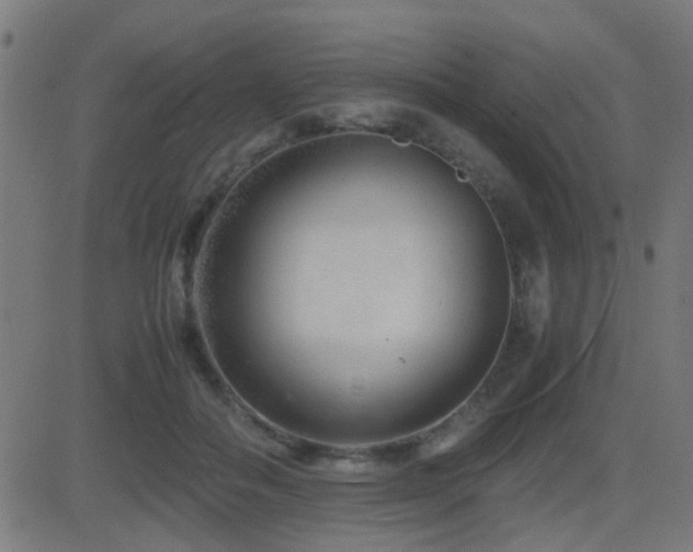 X0000081450506200701121235