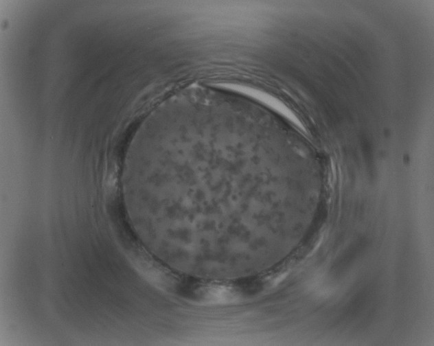 X0000081450507200701121235