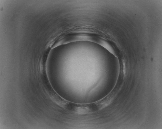 X0000081450508200701121235