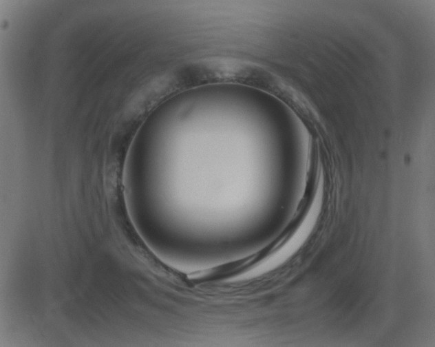 X0000081450509200701121235