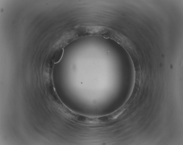 X0000081450510200701121235