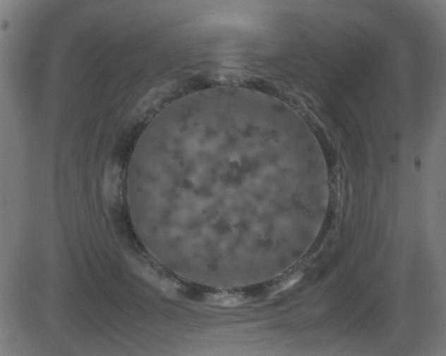 X0000081450511200701121235