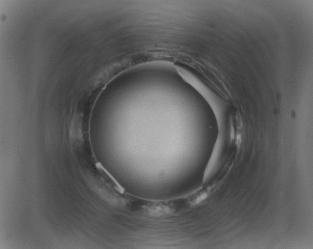 X0000081450512200701121235