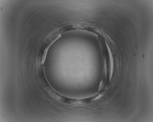 X0000081450513200701121235