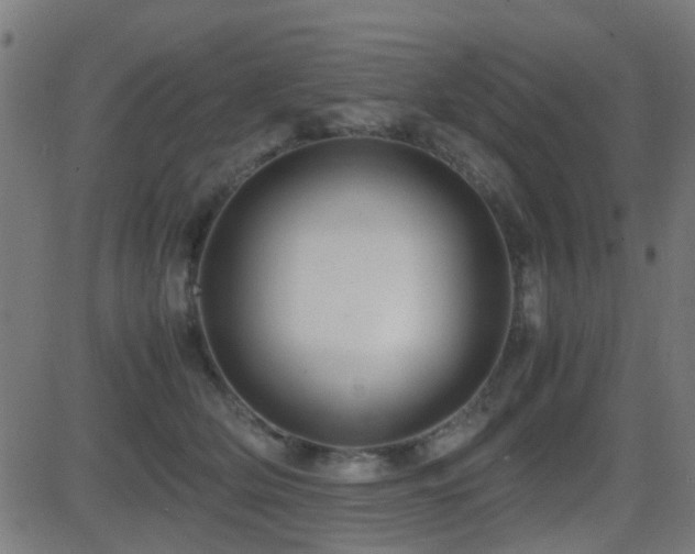 X0000081450514200701121235