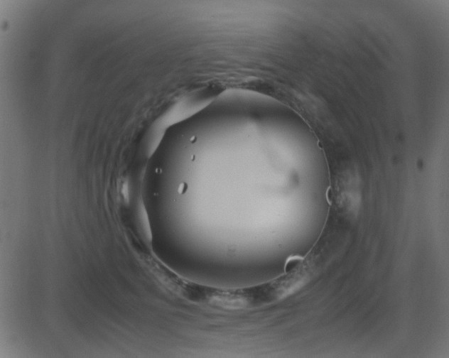 X0000081450515200701121235