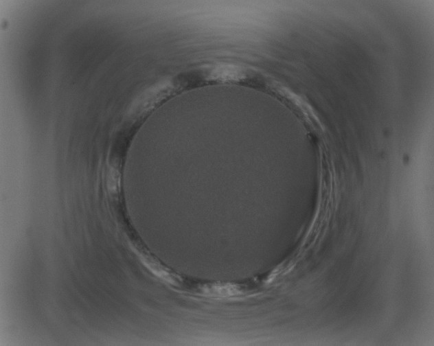 X0000081450517200701121235