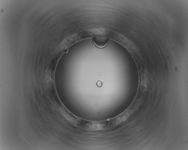 X0000081450518200701121235