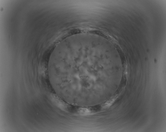 X0000081450519200701121235