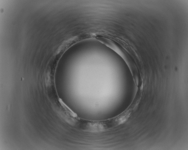 X0000081450520200701121235