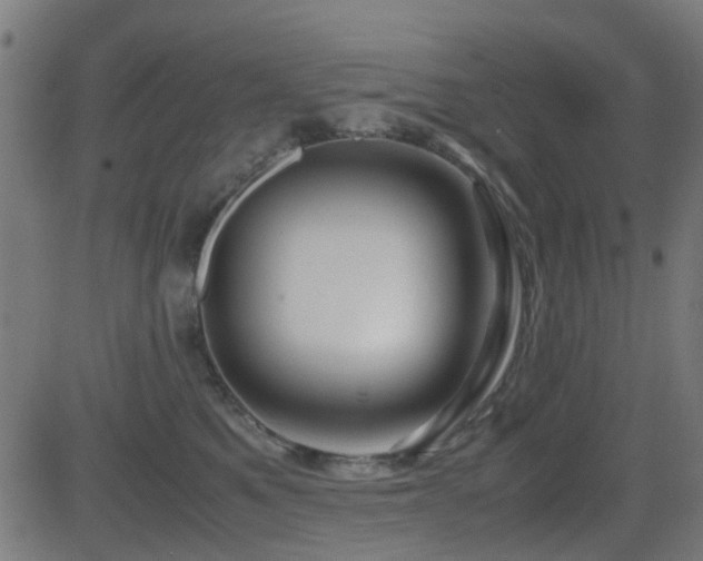 X0000081450521200701121235