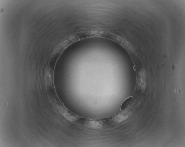 X0000081450522200701121235