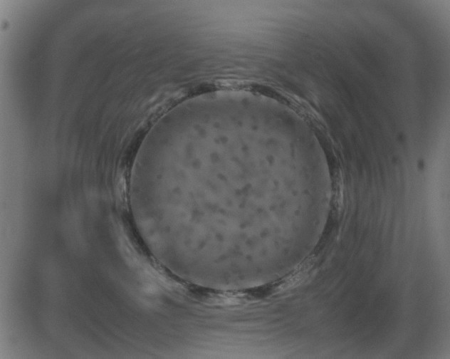 X0000081450523200701121235