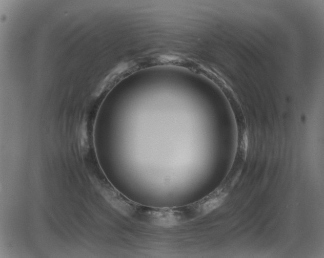 X0000081450524200701121235