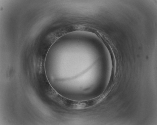 X0000081450525200701121235