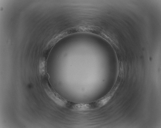 X0000081450526200701121235