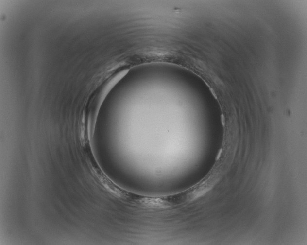 X0000081450528200701121235