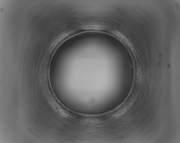 X0000081450529200701121234