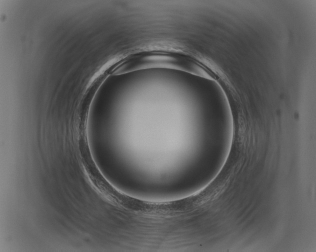 X0000081450530200701121234