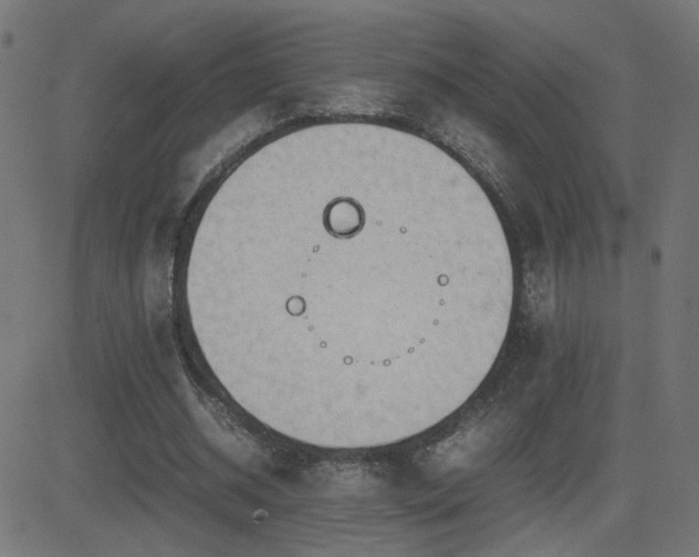 X0000081450534200701121234