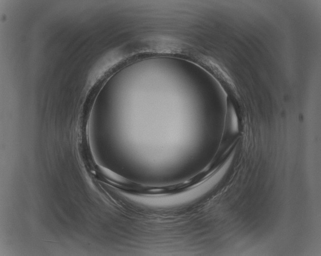 X0000081450536200701121234