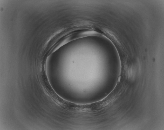 X0000081450539200701121234